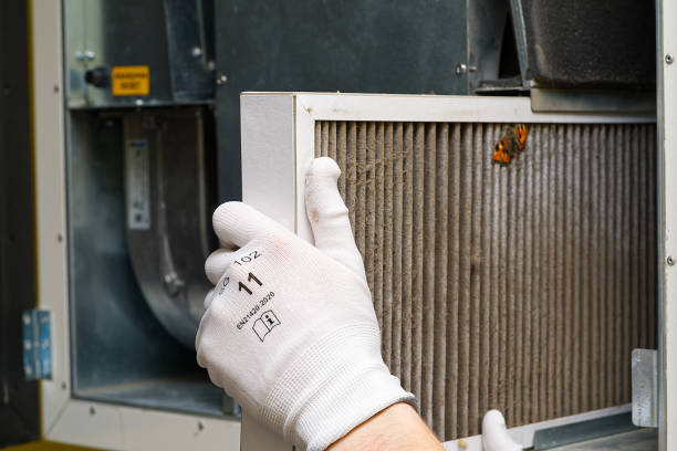 Best Affordable Duct Cleaning Services  in Crystal, MN