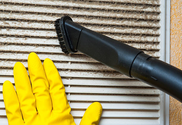 Best Air Duct Mold Removal  in Crystal, MN